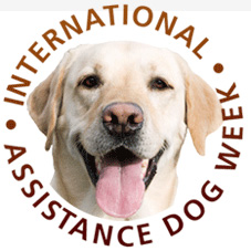 International Assistance Dog Week