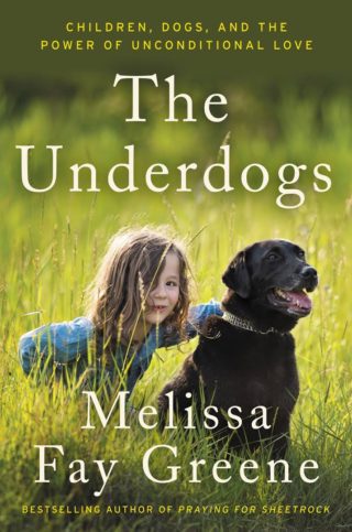 The Underdogs book cover