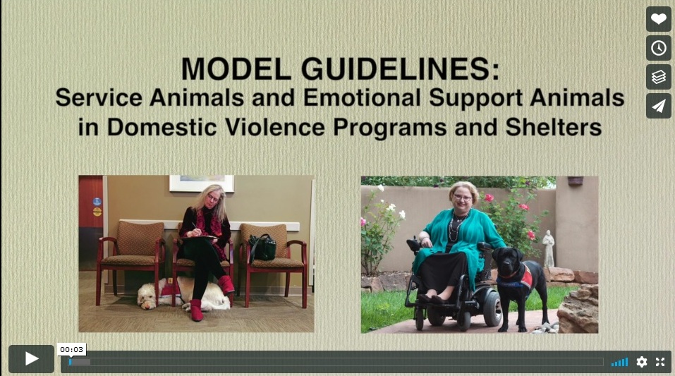 Model guidelines video screenshot
