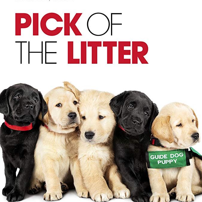 Pick of the Litter film poster