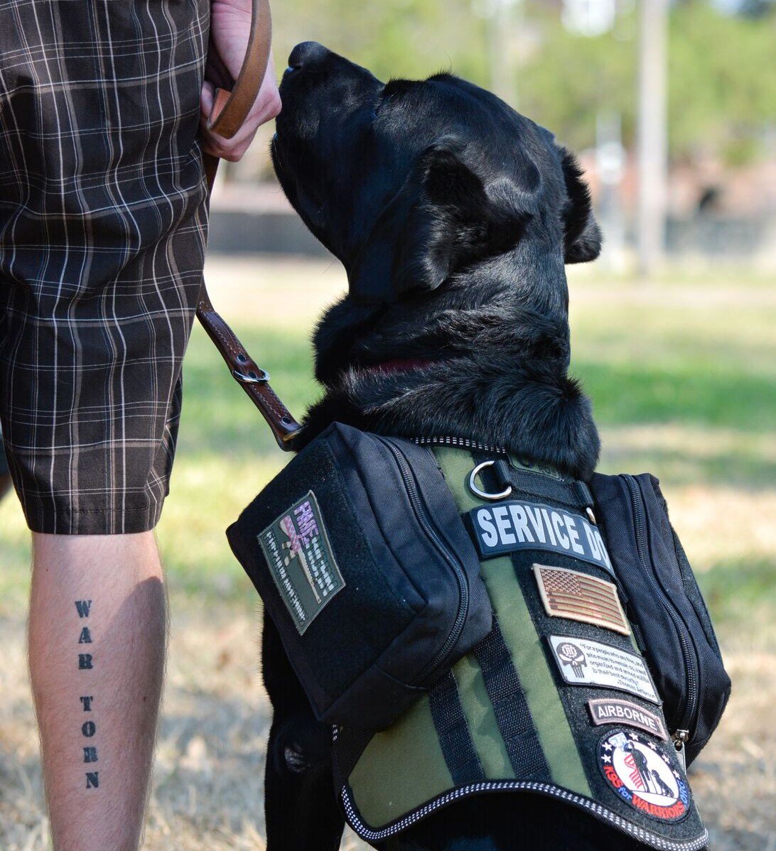 K9s For Warriors - Service Dogs for Veterans with PTSD