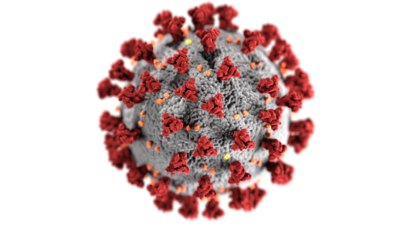 Covid-19 virus illustration